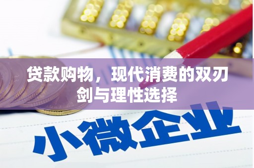 洛扎贷款购物，现代消费的双刃剑与理性选择