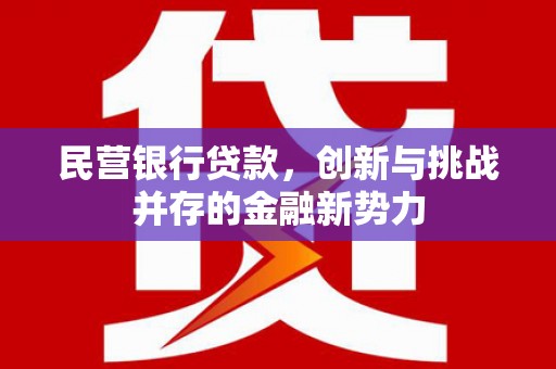 长宁民营银行贷款，创新与挑战并存的金融新势力