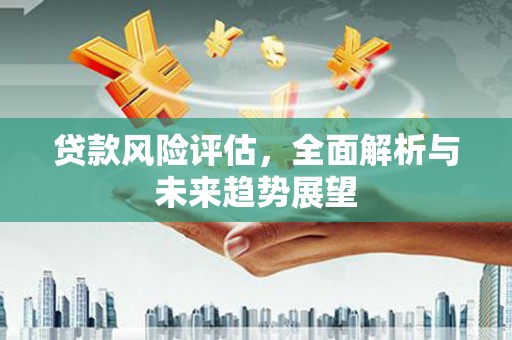苓雅贷款风险评估，全面解析与未来趋势展望