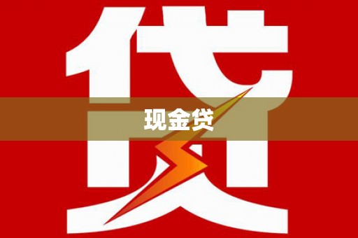 岱岳现金贷