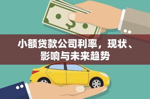 炉霍小额贷款公司利率，现状、影响与未来趋势