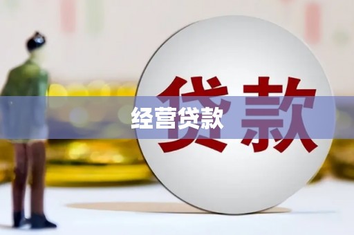 成武经营贷款