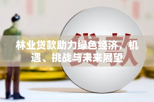 小港林业贷款助力绿色经济，机遇、挑战与未来展望