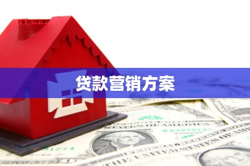 新河贷款营销方案