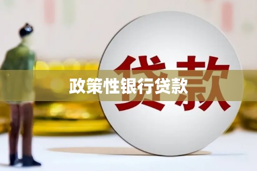 中区政策性银行贷款