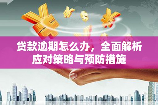 平安贷款逾期怎么办，全面解析应对策略与预防措施