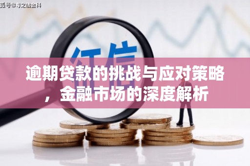 西和逾期贷款的挑战与应对策略，金融市场的深度解析