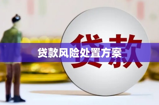 凤凰贷款风险处置方案