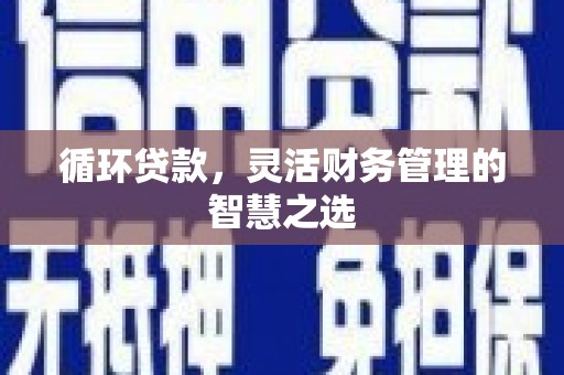 临湘循环贷款，灵活财务管理的智慧之选