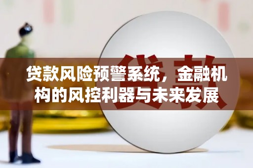 炉霍贷款风险预警系统，金融机构的风控利器与未来发展