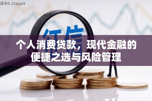 洪雅个人消费贷款，现代金融的便捷之选与风险管理