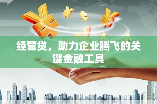 白河经营贷，助力企业腾飞的关键金融工具