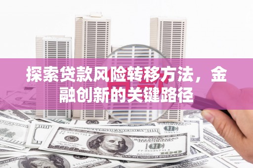 布拖探索贷款风险转移方法，金融创新的关键路径