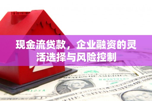 乐东现金流贷款，企业融资的灵活选择与风险控制