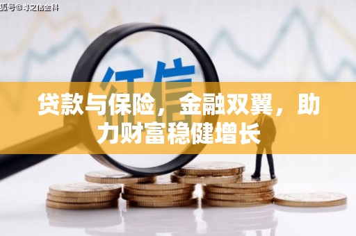 保税区贷款与保险，金融双翼，助力财富稳健增长