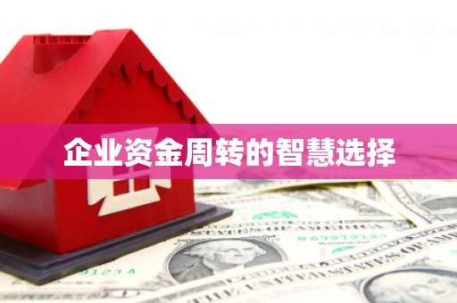 前郭尔罗斯企业资金周转的智慧选择