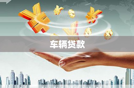 米东车辆贷款