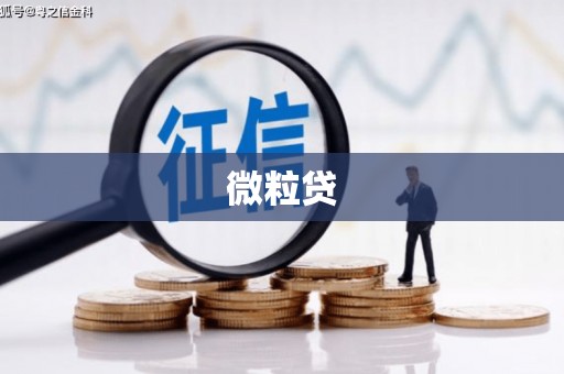察雅微粒贷