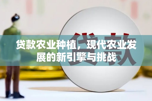 衡阳贷款农业种植，现代农业发展的新引擎与挑战
