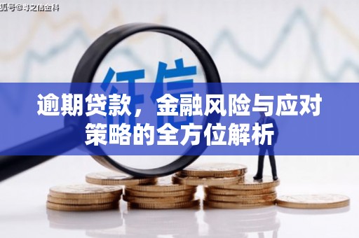嘉禾逾期贷款，金融风险与应对策略的全方位解析