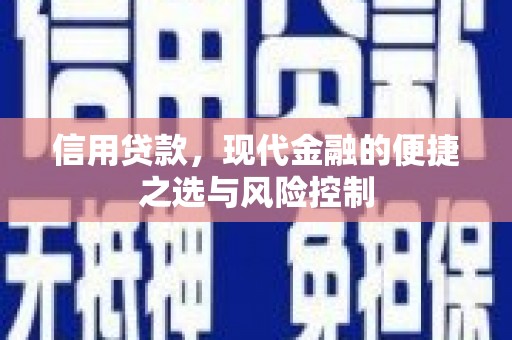 东方信用贷款，现代金融的便捷之选与风险控制