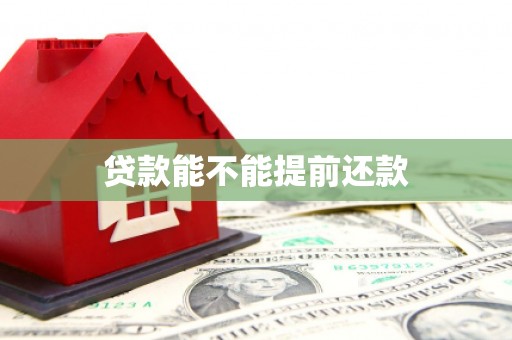 成县贷款能不能提前还款