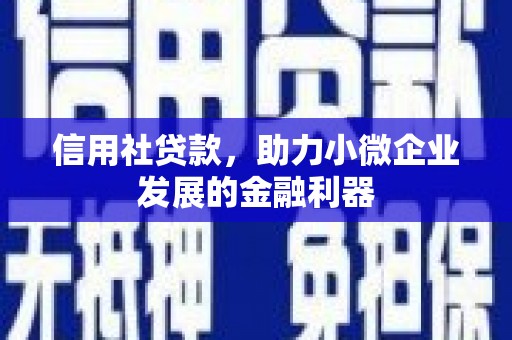 滁州信用社贷款，助力小微企业发展的金融利器