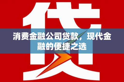 洛扎消费金融公司贷款，现代金融的便捷之选