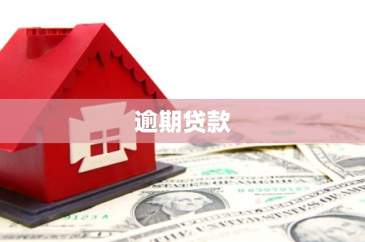 尚义逾期贷款