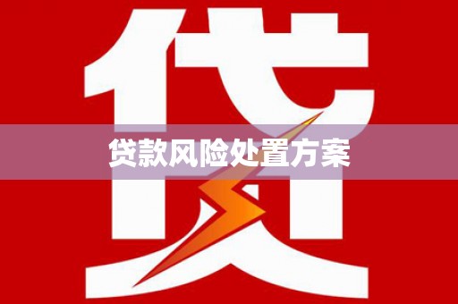 会理贷款风险处置方案