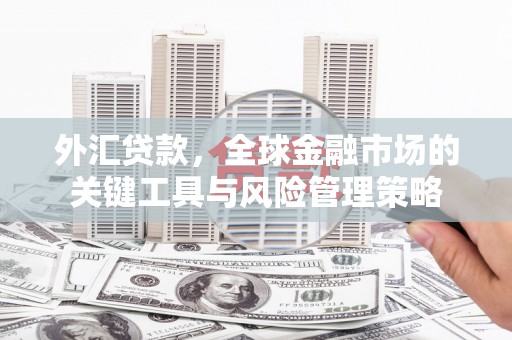 含山外汇贷款，全球金融市场的关键工具与风险管理策略