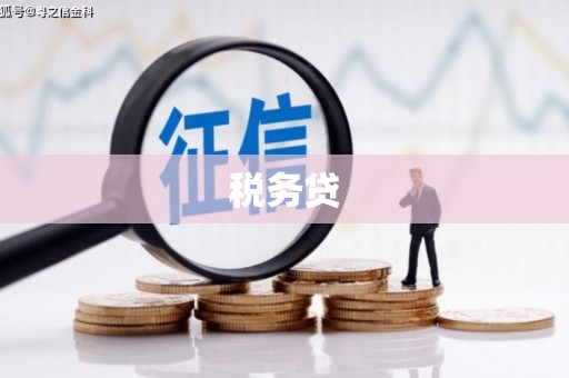 坪山新区税务贷