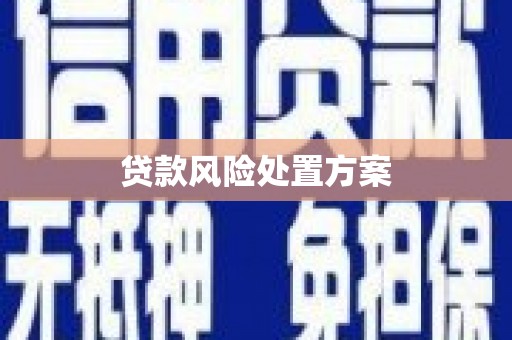 雄县贷款风险处置方案