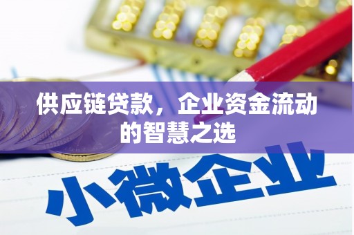 保税港区供应链贷款，企业资金流动的智慧之选