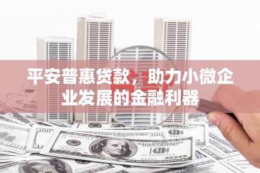 潍坊平安普惠贷款，助力小微企业发展的金融利器