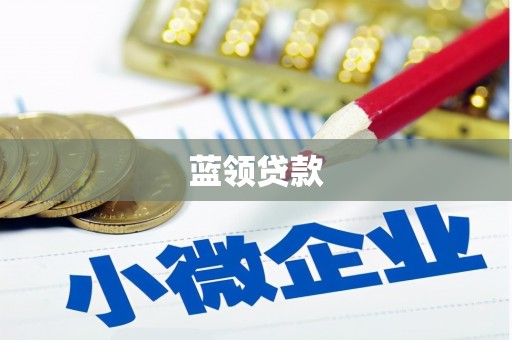 沙依巴克蓝领贷款
