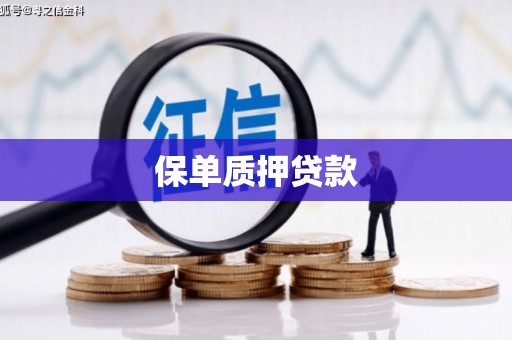 宜良保单质押贷款