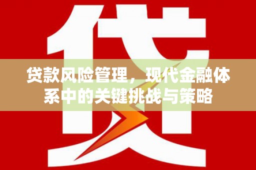 鲅鱼圈贷款风险管理，现代金融体系中的关键挑战与策略