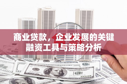 张湾商业贷款，企业发展的关键融资工具与策略分析