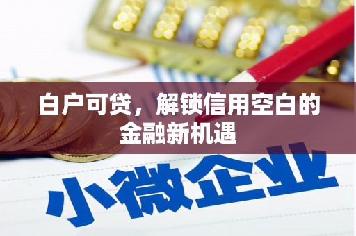 革吉白户可贷，解锁信用空白的金融新机遇