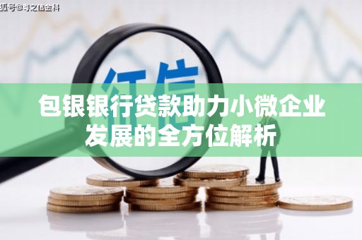 保康包银银行贷款助力小微企业发展的全方位解析