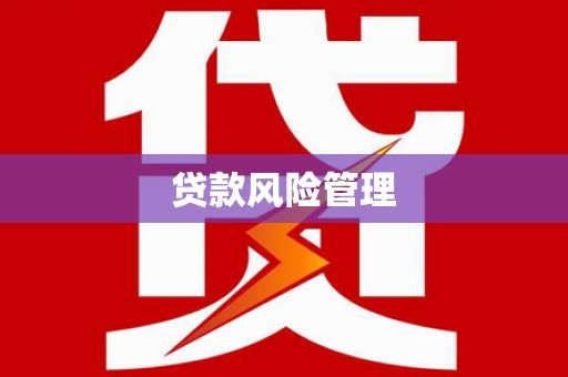 卢氏贷款风险管理