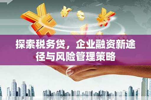 平潭探索税务贷，企业融资新途径与风险管理策略