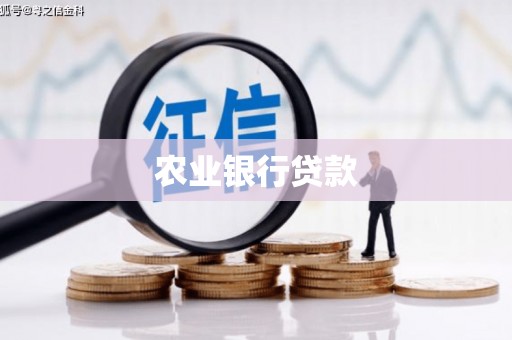 合浦农业银行贷款