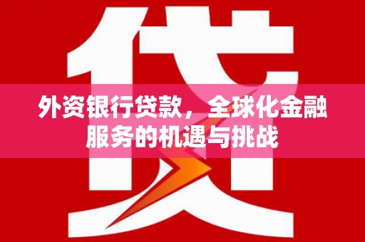 海东外资银行贷款，全球化金融服务的机遇与挑战
