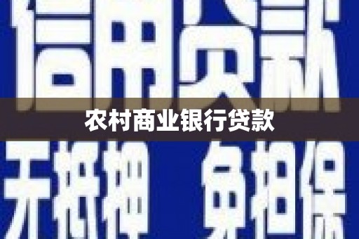 中正农村商业银行贷款