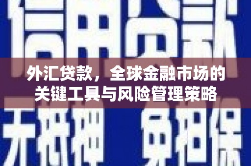 阿里山外汇贷款，全球金融市场的关键工具与风险管理策略