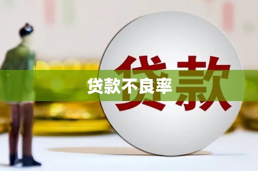嘉定贷款不良率
