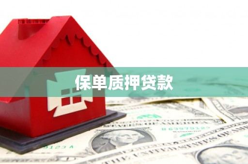 唐山保单质押贷款