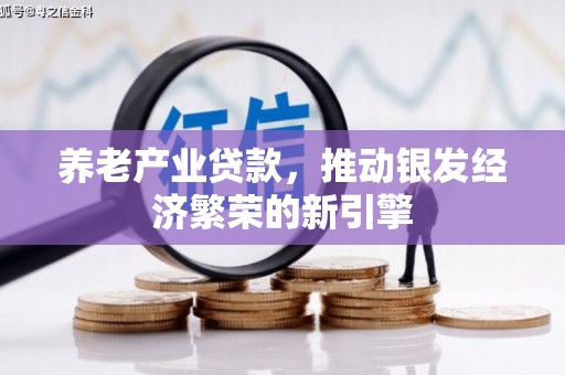 隆回养老产业贷款，推动银发经济繁荣的新引擎